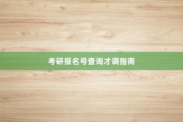 考研报名号查询才调指南