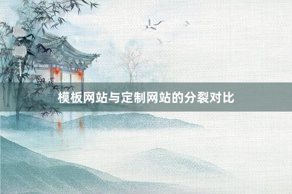 模板网站与定制网站的分裂对比