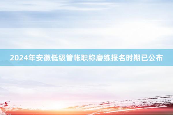 2024年安徽低级管帐职称磨练报名时期已公布