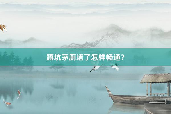 蹲坑茅厕堵了怎样畅通？