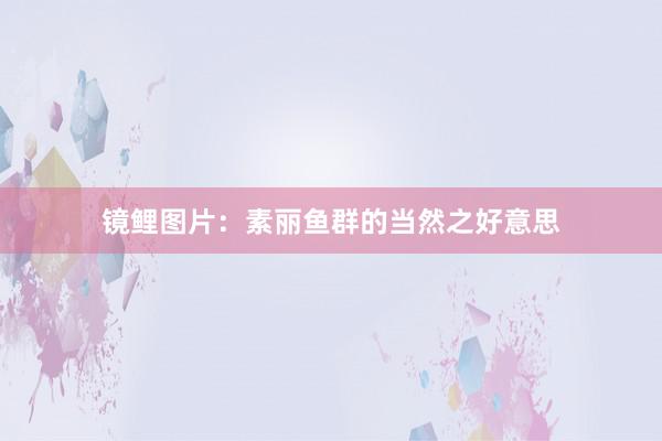 镜鲤图片:素丽鱼群的当然之好意思